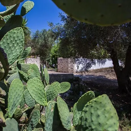 Appartement Cava Degli Ulivi Nardò