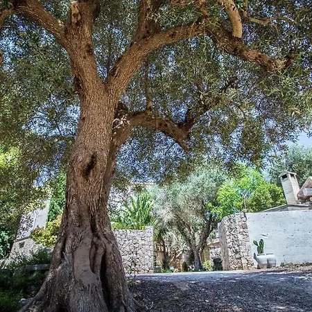 Cava Degli Ulivi Nardò